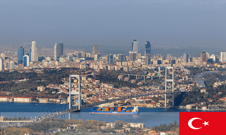 Export and Import Services in Turkey